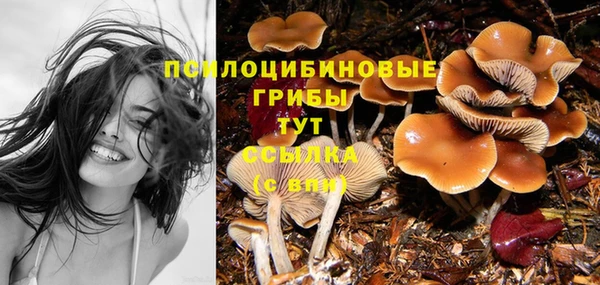 apvp Волосово