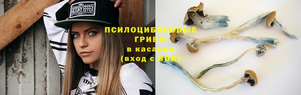 СК Володарск