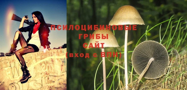 apvp Волосово