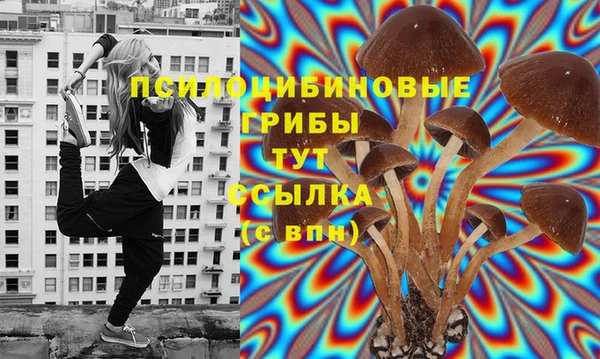 СК Володарск