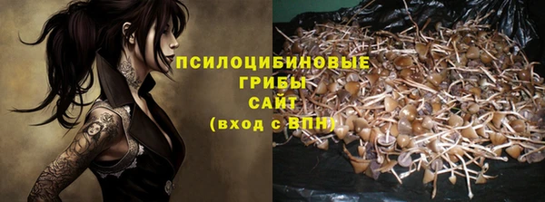 СК Володарск