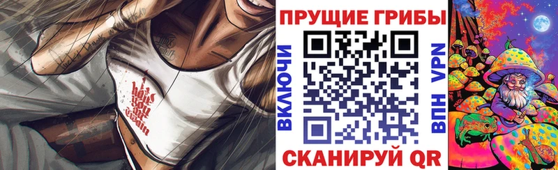 Галлюциногенные грибы MAGIC MUSHROOMS где продают наркотики Калязин